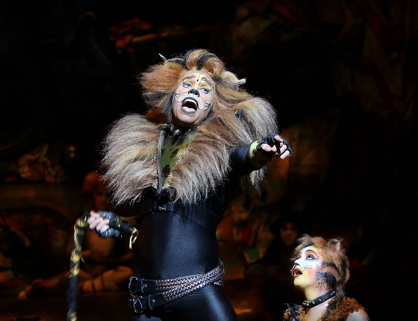 Cats - Oasis of the Seas Royal Caribbean Cruise Line