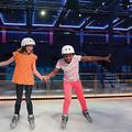 Center Ice Rink