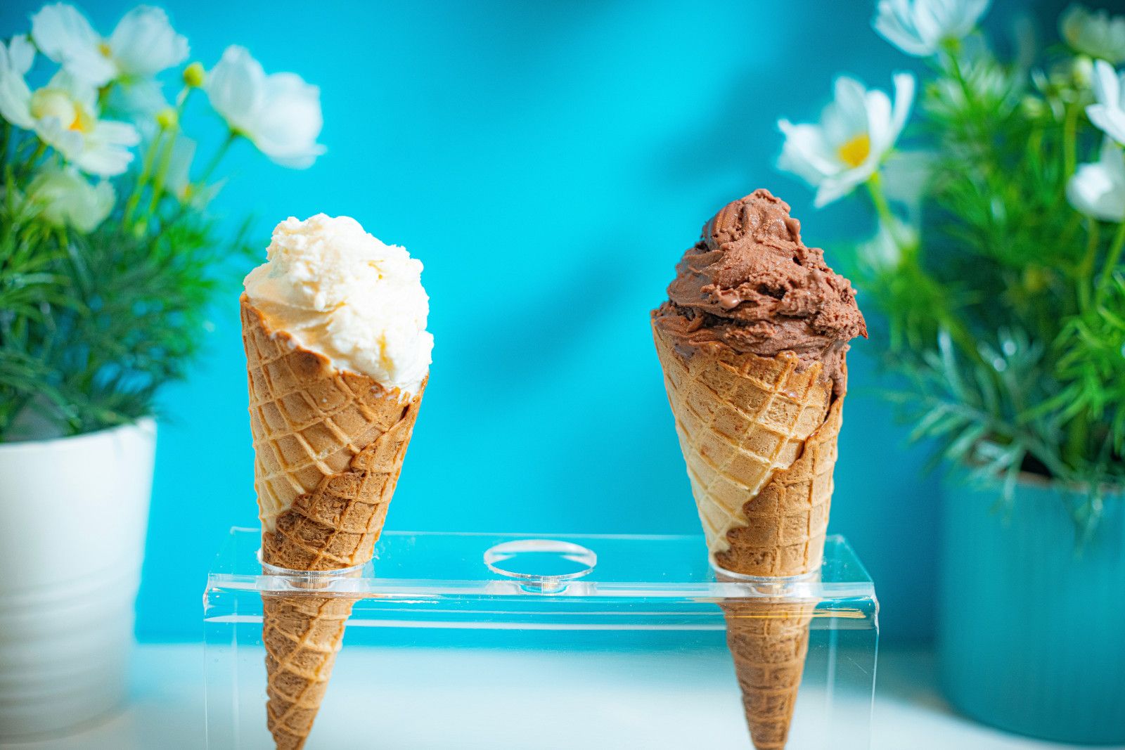 Cups and Scoops on the Allure of the Seas