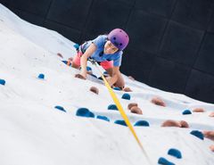 Rock Climbing Wall