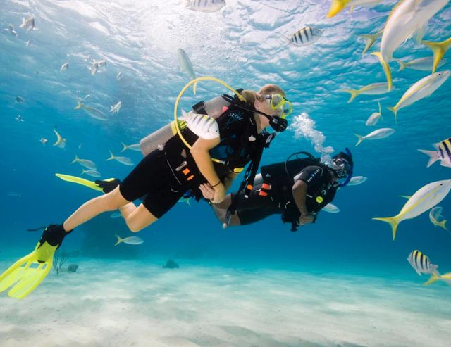 Scuba Certification on the Allure of the Seas