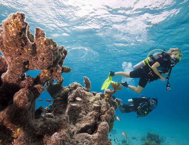 Scuba Certification on the Allure of the Seas