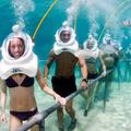 Sea Trek Dive Shop