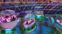 The Overlook Pods