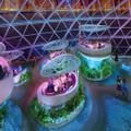 The Overlook Pods