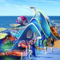Wonder Playscape