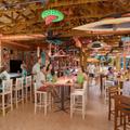 Tropicale Bar