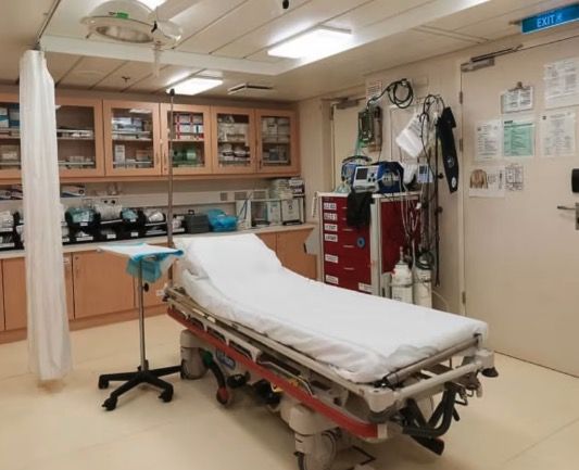 Medical Center on the Resilient Lady
